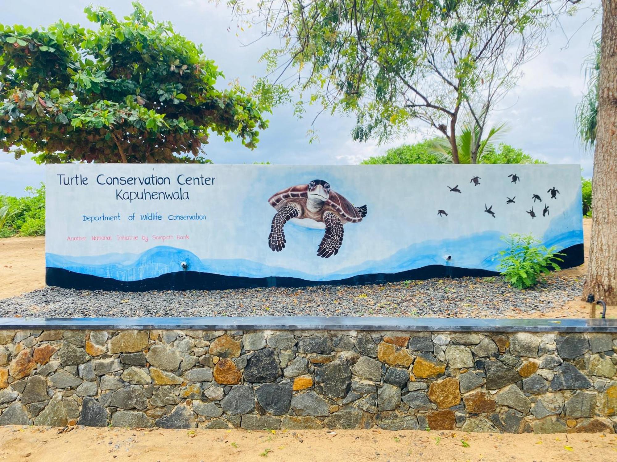 King'S Elephant Cabanas & Restaurant 坦加拉 外观 照片