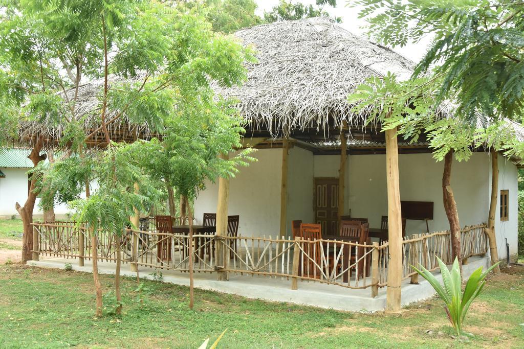 King'S Elephant Cabanas & Restaurant 坦加拉 外观 照片