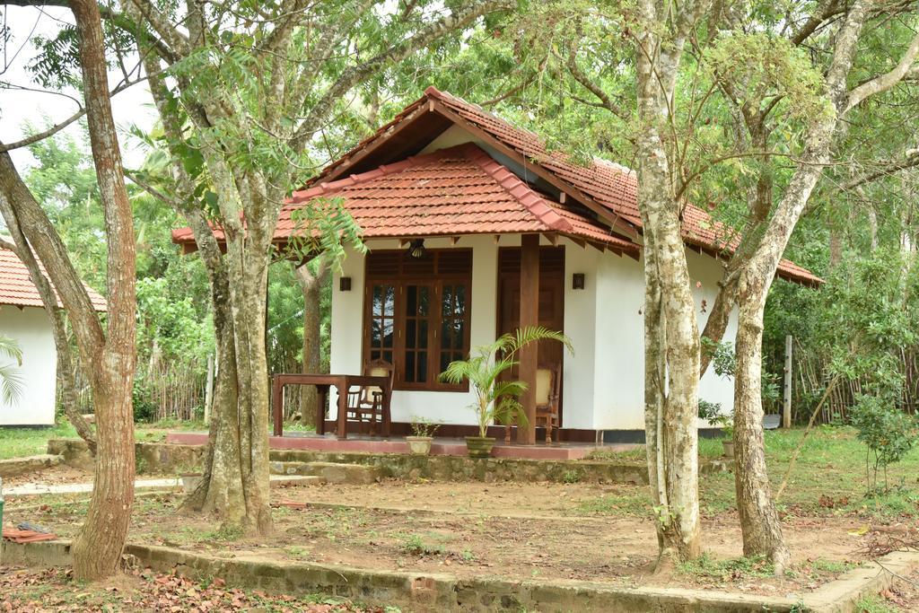 King'S Elephant Cabanas & Restaurant 坦加拉 外观 照片