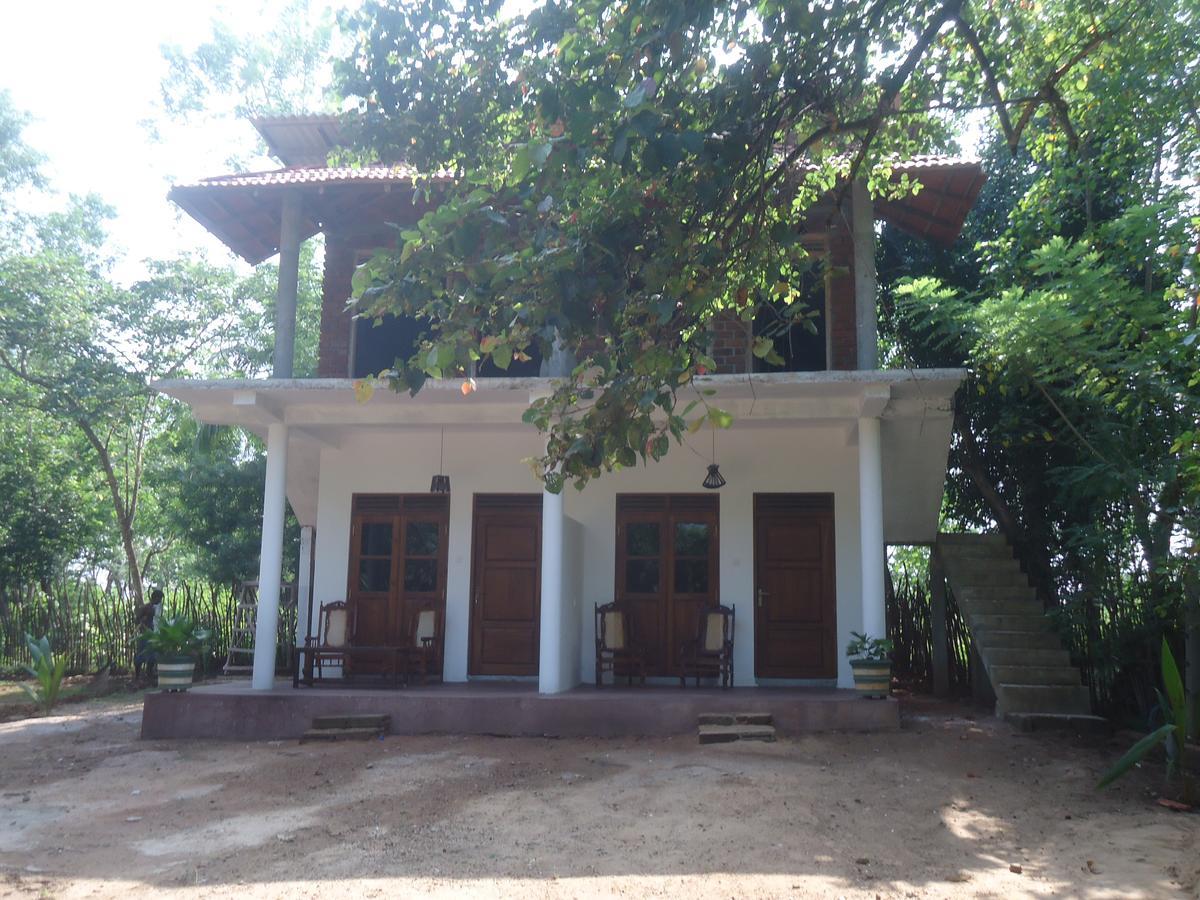 King'S Elephant Cabanas & Restaurant 坦加拉 外观 照片