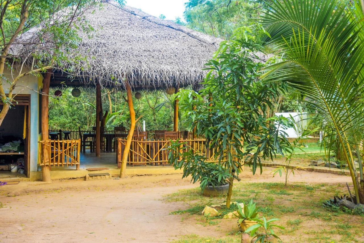 King'S Elephant Cabanas & Restaurant 坦加拉 外观 照片